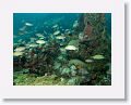 02-UnionIsland - 23
